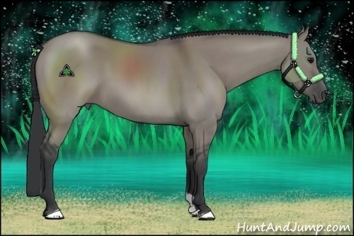 Horse Color:Grullo Sabino 