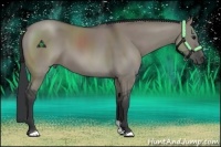 Horse Color:Grullo Sabino 