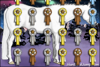 Horse Color:Gray Bay Tobiano Rabicano