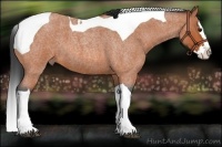 Horse Color:Bay Roan Splash Tobiano 
