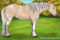 Horse Color:Silver Buckskin Ice 
