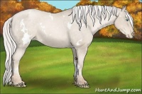 Horse Color:White Spotted Silver Smoky Black Pearl Varnish 
