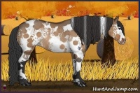 Horse Color:White Spotted Bay Dun Tobiano Rabicano 