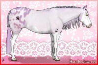 Horse Color:Watercolor Bay Pearl Splash Appaloosa Rabicano 