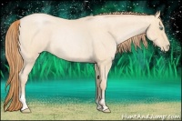 Horse Color:Buckskin Roan Pearl and Buckskin Roan Pearl Rabicano