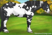 Horse Color:White Spotted Black Frame
