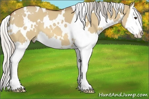 Horse Color:White Spotted Silver Bay Dun Splash 