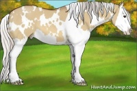 Horse Color:White Spotted Silver Bay Dun Splash