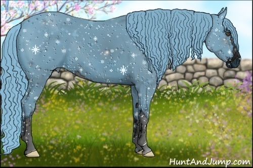 Horse Color:ERROR: UNKNOWN ANOMALY