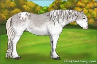 Horse Color:White Spotted Silver Black Varnish 