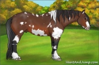 Horse Color:White Spotted Bay Frame