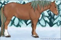 Horse Color:Painted Chestnut Sabino 