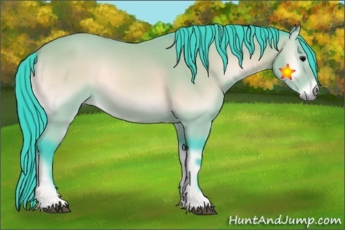 Horse Color:Watercolor Bay Onyx 