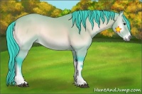Horse Color:Watercolor Bay Onyx 