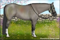 Horse Color:Grullo 