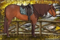 Horse Color:Chocolate Bay 