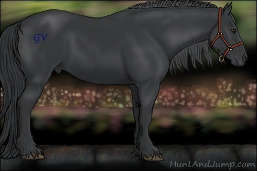 Horse Color:Black Chinchilla 