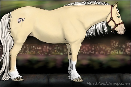 Horse Color:Silver Amber Cream Champagne Dun 