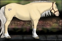 Horse Color:Silver Amber Cream Champagne Dun 