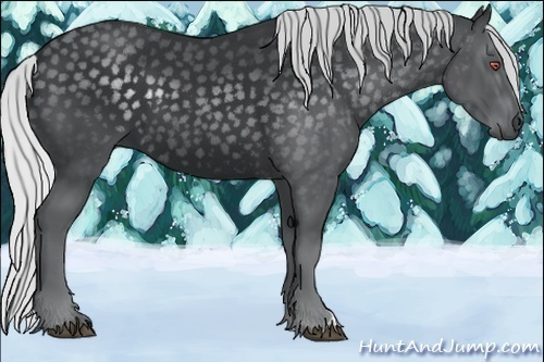 Horse Color:Silver Black Chinchilla
