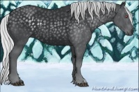 Horse Color:Silver Black Chinchilla