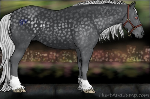 Horse Color:Silver Black Chinchilla