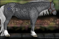 Horse Color:Silver Black Chinchilla 