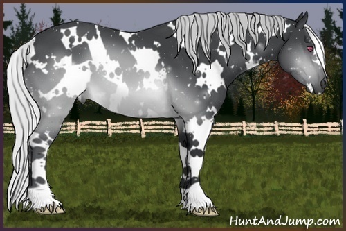 Horse Color:White Spotted Silver Brown Chinchilla