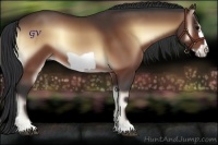Horse Color:Bay Onyx Frame 