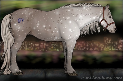 Horse Color:Silver Black