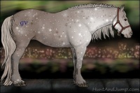 Horse Color:Silver Black 