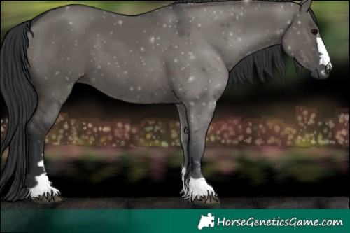 Horse Color:Grullo