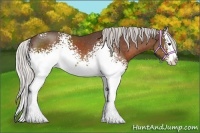 Horse Color:White Spotted Silver Bay Sabino Splash 