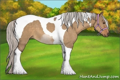 Horse Color:Silver Bay Dun Tobiano 