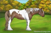 Horse Color:Liver Chestnut Sabino Tobiano Rabicano 