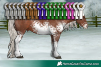 Horse Color:White Spotted Silver Black Sabino 