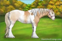 Horse Color:White Spotted Gold Champagne Tobiano