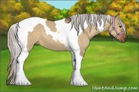 Horse Color:Silver Bay Dun Tobiano 