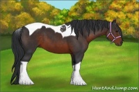 Horse Color:Brown Tobiano 
