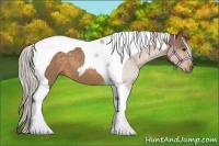 Horse Color:Silver Buckskin Tobiano 