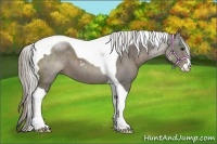 Horse Color:Silver Black Sabino Tobiano 