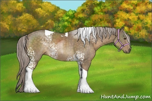 Horse Color:White Spotted Chocolate Palomino Tobiano 