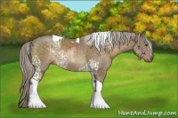 Horse Color:White Spotted Chocolate Palomino Tobiano 