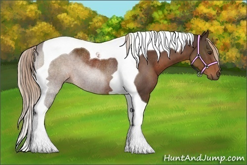 Horse Color:Liver Chestnut Tobiano Rabicano 