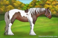 Horse Color:Silver Brown Tobiano 