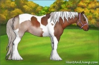 Horse Color:Silver Bay Tobiano