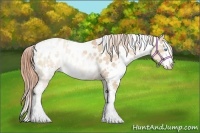 Horse Color:White Spotted Buckskin Pearl Sabino Near Leopard 