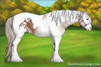 Horse Color:White Spotted Silver Bay Tobiano Rabicano