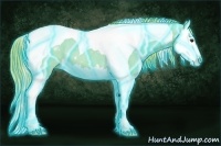 Horse Color:Thunderstruck Watercolor Liver Chestnut Splash Tobiano Rabicano 