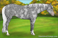 Horse Color:Gray Classic Champagne Ice Dun 
